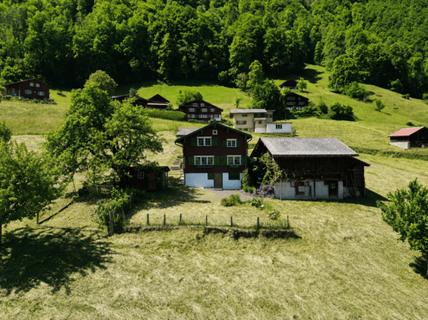 Nidfurn