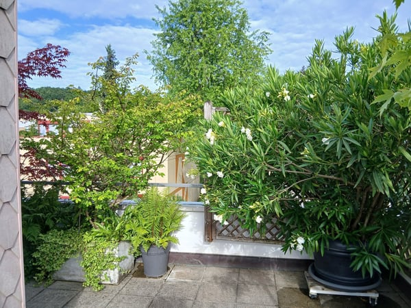 Attikawohnung mit Terrasse zum Verweilen 14