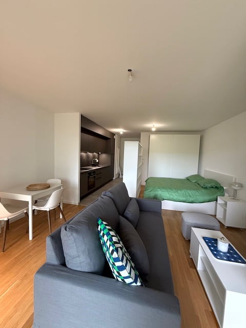 gray couch, white coffee table, white chairs, white table, green bed, pillow, nightstand, lamp, kitchen cabinets, sink, stove, oven