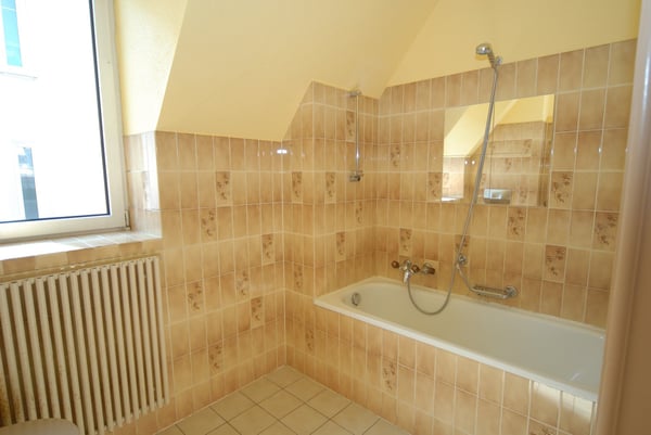 Grand appartement 3.5 pces, cheminée, possibilité d'un garage 7