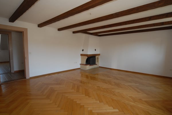 Grand appartement 3.5 pces, cheminée, possibilité d'un garage 2