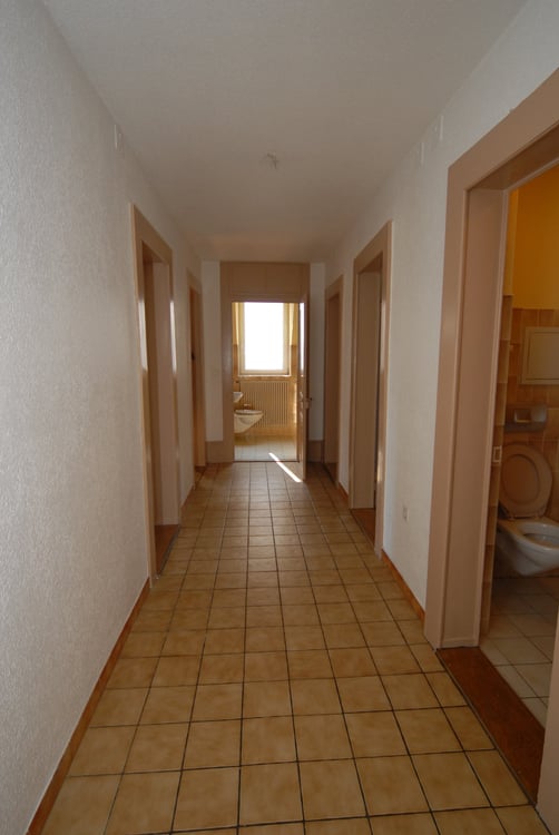 Grand appartement 3.5 pces, cheminée, possibilité d'un garage 6