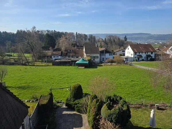 Charmantes 1-Zimmer-Reihenhaus mit Garten in Uster 10