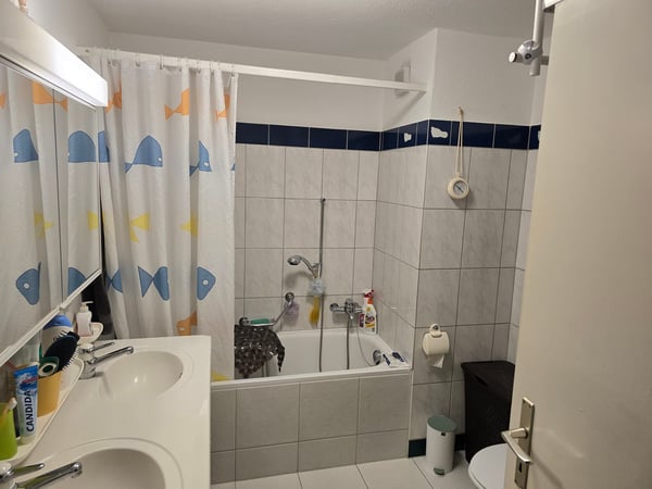 Charmantes 1-Zimmer-Reihenhaus mit Garten in Uster 5