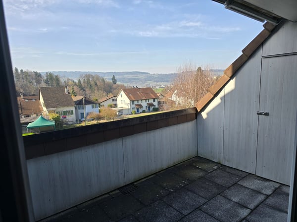 Charmantes 1-Zimmer-Reihenhaus mit Garten in Uster 9