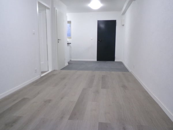 Très joli appartement 2 pièces rénové ** 1ère location ** 1