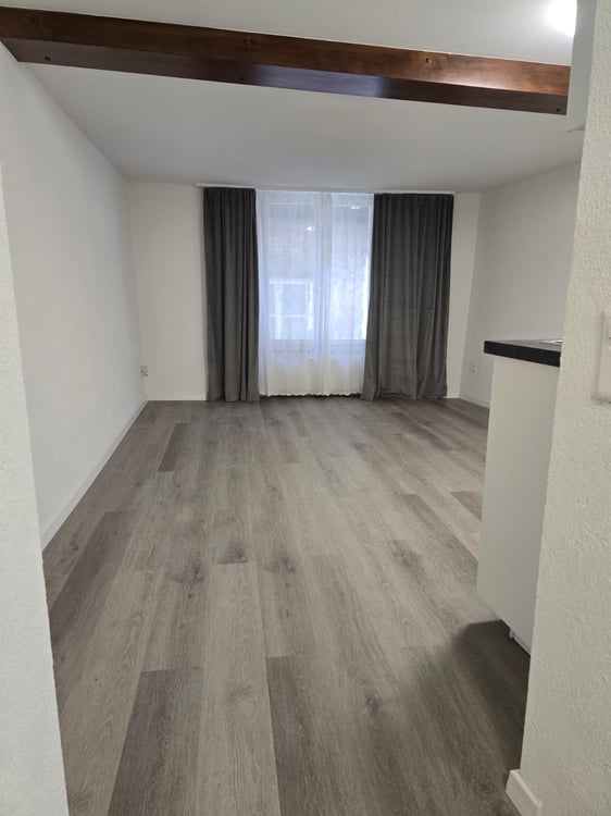 Très joli appartement 1 pièce rénové  ** 1ère location ** 1