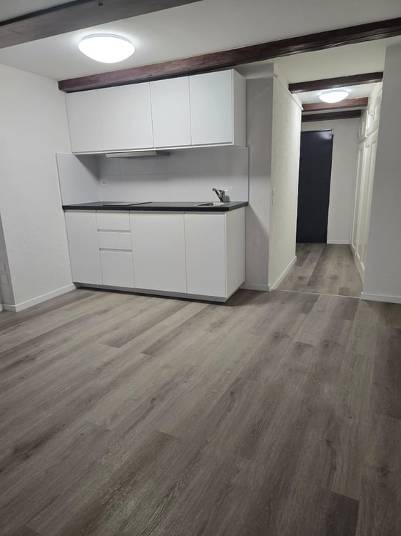 Très joli appartement 1 pièce rénové  ** 1ère location ** 2