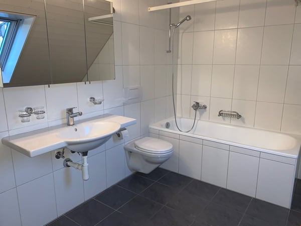 grosszügige 3.5-Zi-Dachwohnung mit wunderbarer Aussicht! 12