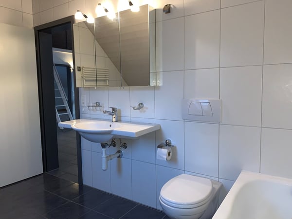 grosszügige 3.5-Zi-Dachwohnung mit wunderbarer Aussicht! 13