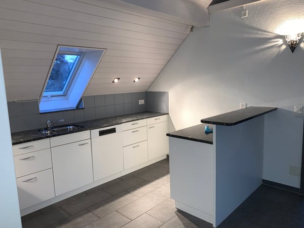 grosszügige 3.5-Zi-Dachwohnung mit wunderbarer Aussicht! 13