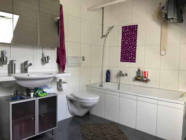 grosszügige 3.5-Zi-Dachwohnung mit wunderbarer Aussicht! 17