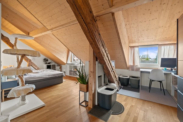 aussergewöhnlich, charmant, grosszügig: 2.5-Zi-Loft-Whg in Büren an der Aare 13