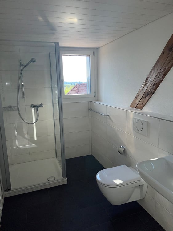 modern und hell: 4.5 Zimmer-Dachwohnung in Rapperswil/BE 6