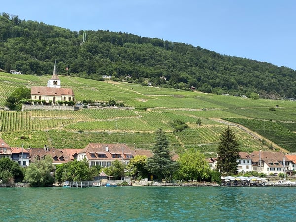 Wohnen im historischen Kreuz in Ligerz am Bielersee 3