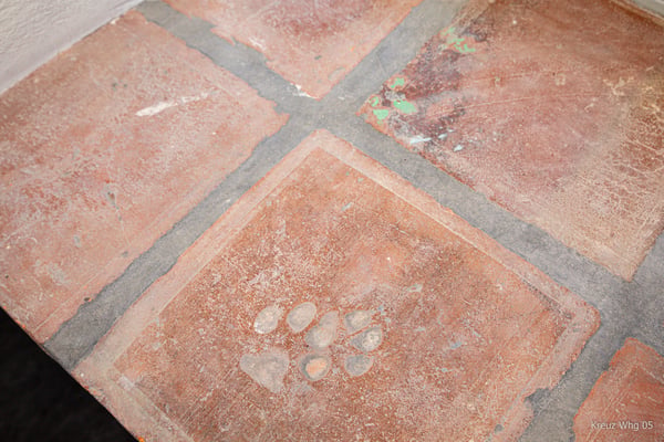 Wohnen im historischen Kreuz in Ligerz am Bielersee 16