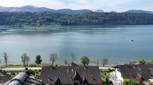 Neubau Haus West Doppeleinfamilienhaus mit Seeblick 2