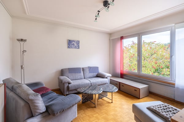 4.5-ZI. EFH an einer Sackgasse mit Weitsicht und Gestaltungspotenzial 7