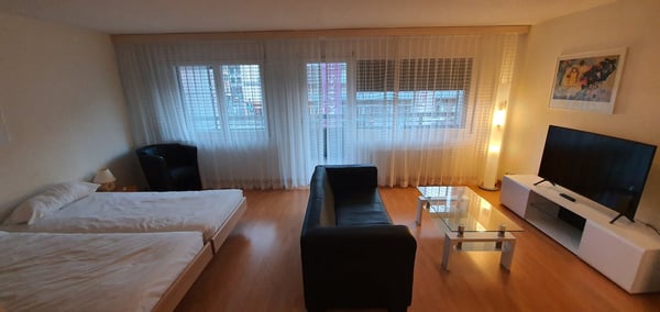 Appartement meublé 2 pièce au cœur de Bienne 10
