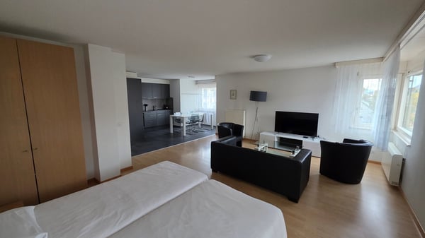 Appartement meublé 2 pièce au cœur de Bienne 1