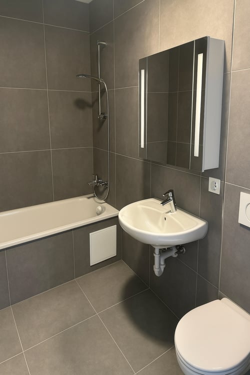 Moderne 2.5-Zimmer-Wohnungen im Zürich Kreis 4 – Erstbezug nach Kernsanierung 3