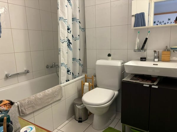 Wohnen direkt an der Zihl 4