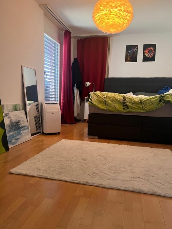tolle 3,5-Zi.-Attikawohnung mit Rundum-Aussicht 3