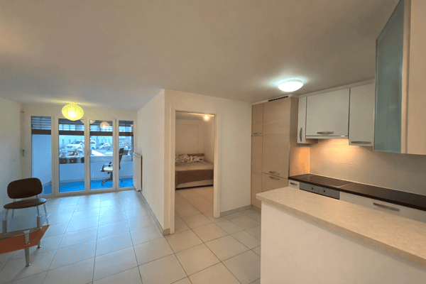 Charmant appartement de 1.5 pièces au cœur du quartier historique 1