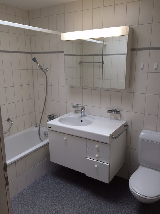 Wohnen im autofreien Wittikofen 5