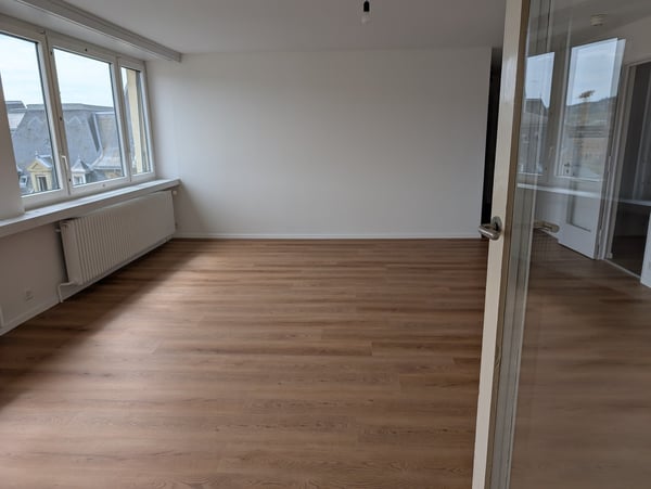Wohnen im Museum mit Blick auf den Hausberg 3