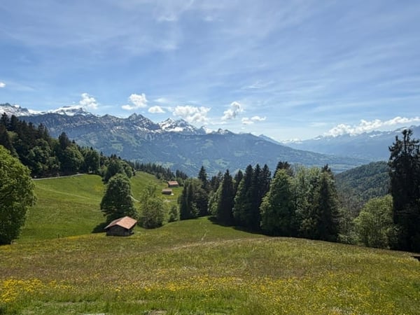 Charmantes Haus in Beatenberg mit atemberaubender Aussicht 23