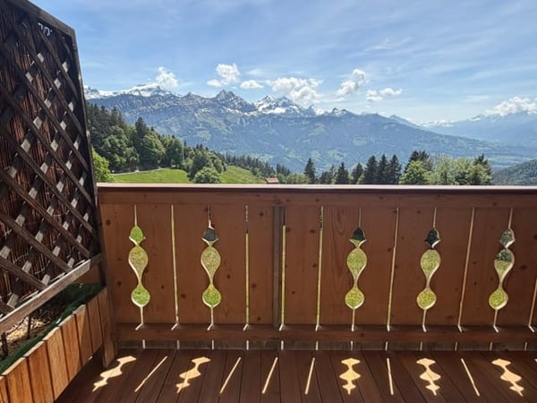 Charmantes Haus in Beatenberg mit atemberaubender Aussicht 22
