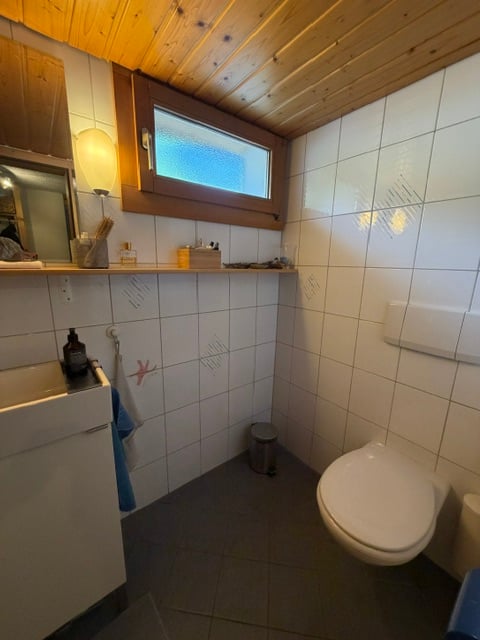 Charmantes Haus in Beatenberg mit atemberaubender Aussicht 11