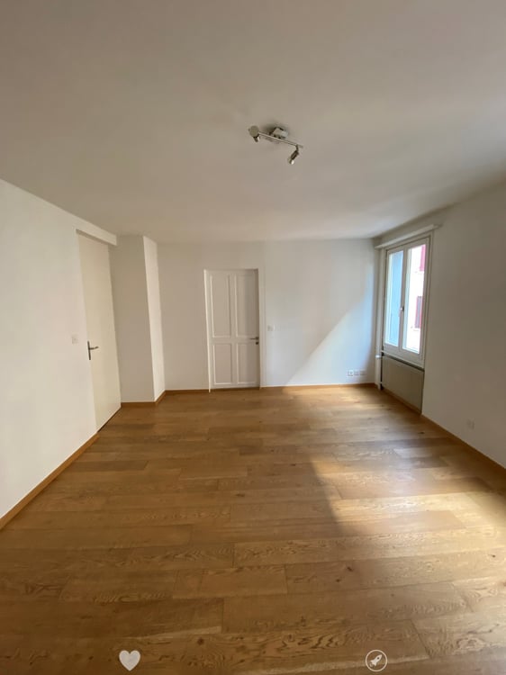 Renovierte 4 Zimmer-Wohnung 2
