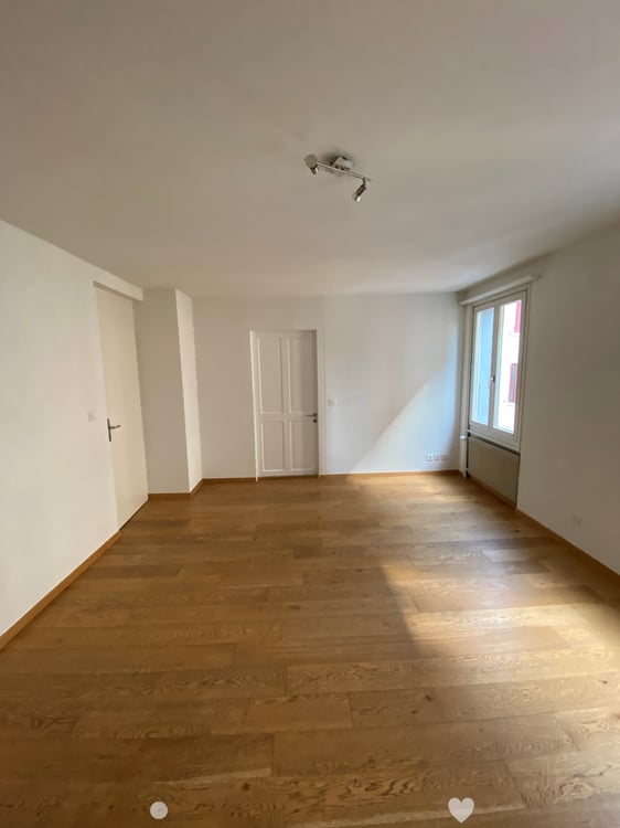 Renovierte 4 Zimmer-Wohnung 2