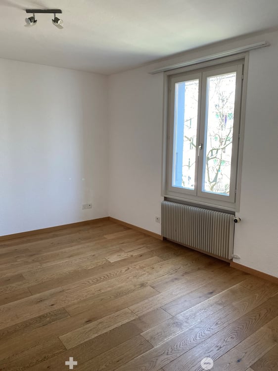 Renovierte 4 Zimmer-Wohnung 5