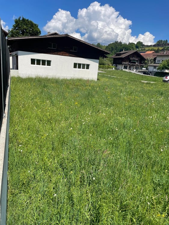 Wohngeschäftshaus mit grosszügigem Nebengebäude 19