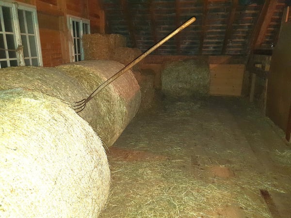 Bauernhaus mit Pferdestall 5