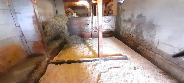 Bauernhaus mit Pferdestall 4