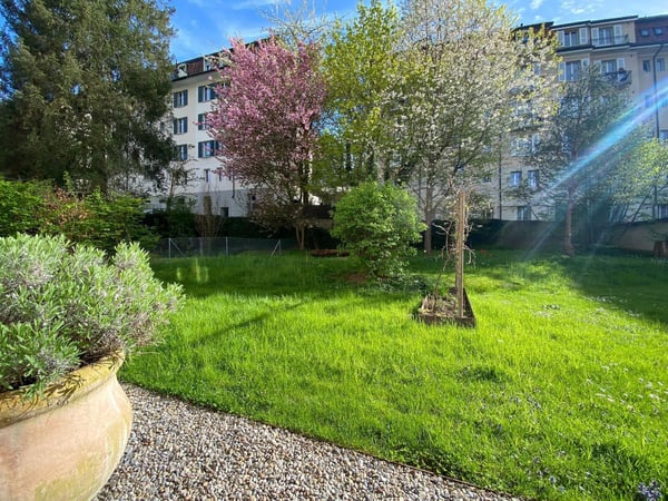 3 ½ Zimmer-Wohnung, 3007 Bern 1
