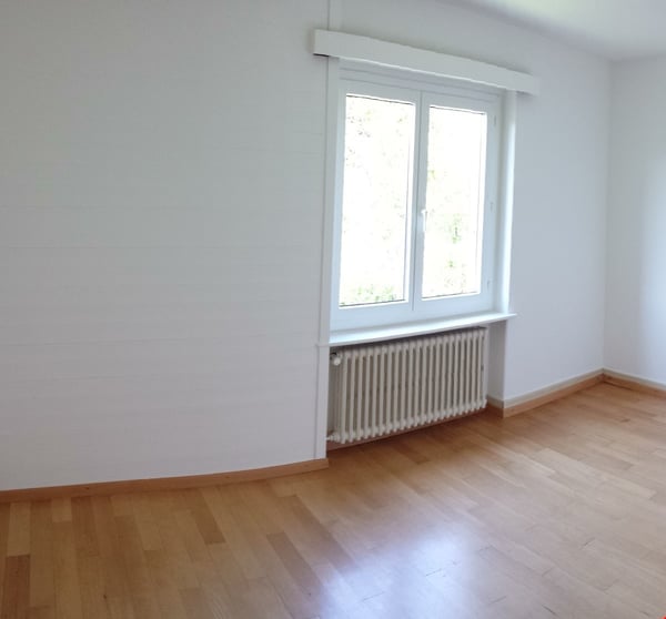 ruhige und helle 1 -Zimmerwohnung im beliebten Champagnequartier 18