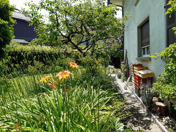 Zwei Eigentumswohnungen, Mattenhof Bern 8