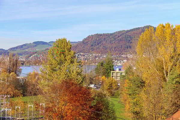 Individuelles 1.5-ZI-EFH nahe Thunersee - Platz, Charme und Komfort mit Privatsphäre 16