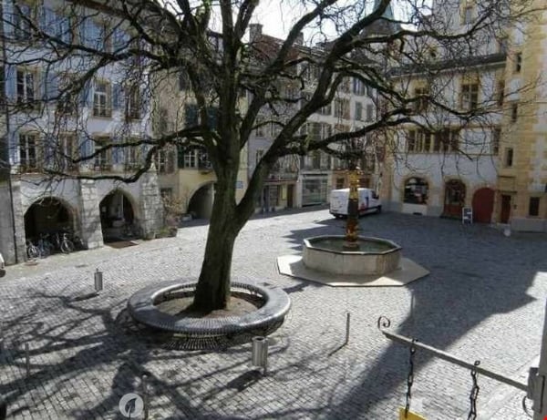 Altstadt Charme gesucht? Volltreffer! 1