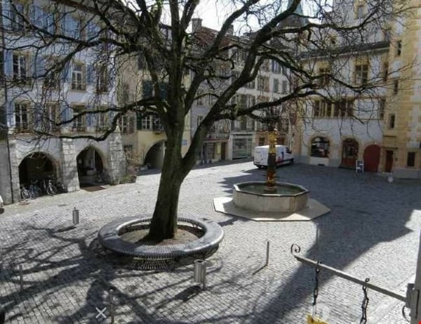 Altstadt Charme gesucht? Volltreffer! 1