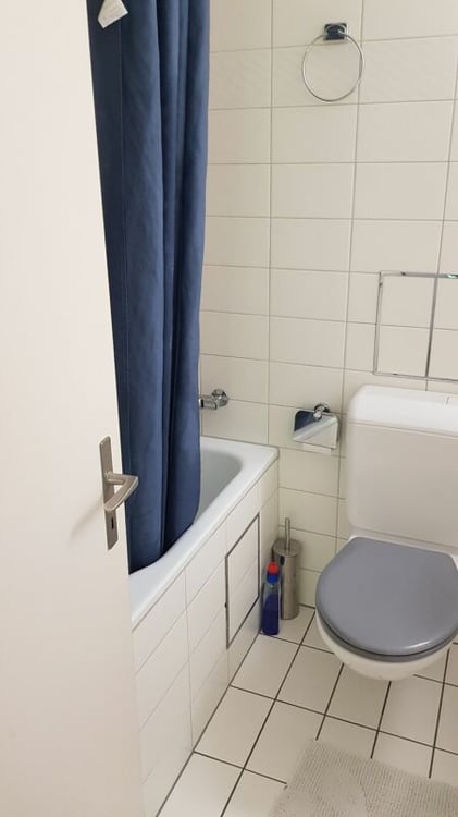 2.5-Zimmer-Wohnung zu vermieten im Haus zur Drachenmühle 5