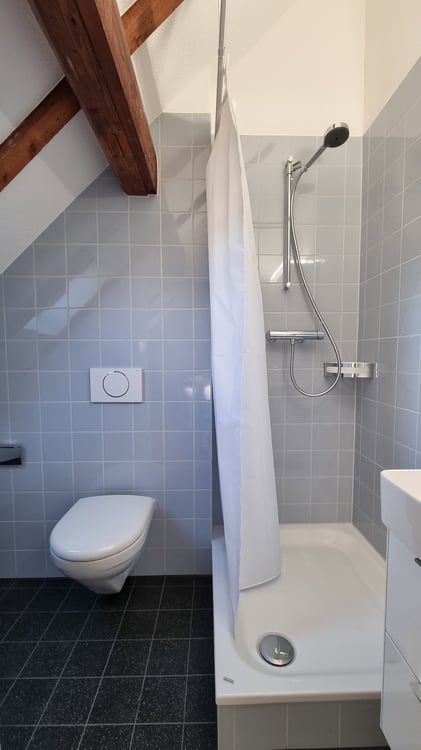 2.5-Zimmer-Wohnung in Biel mieten 3