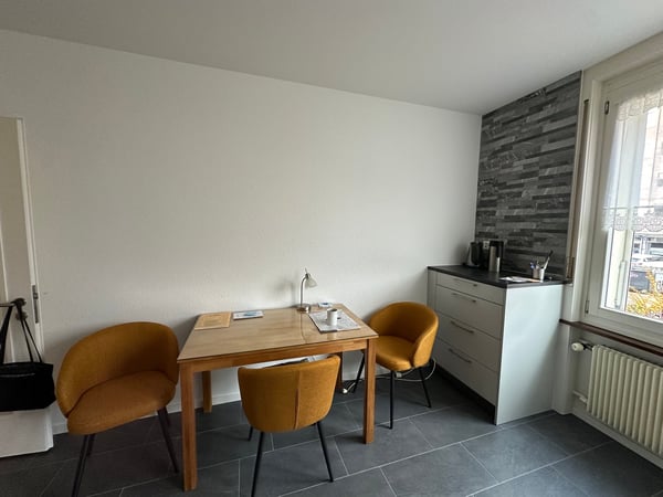 Grosszügige 1-Zimmerwohnung mit renovierter Küche und Balkon 4