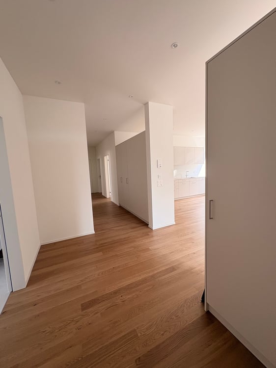 Aussergewöhnliche Wohnung mit viel Platz und Nutzungsmöglichkeiten 5