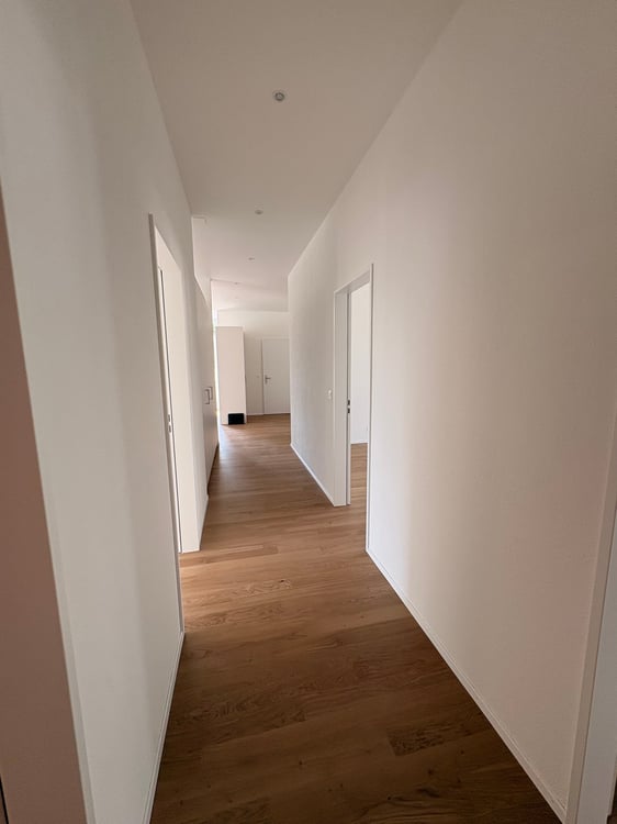 Aussergewöhnliche Wohnung mit viel Platz und Nutzungsmöglichkeiten 6